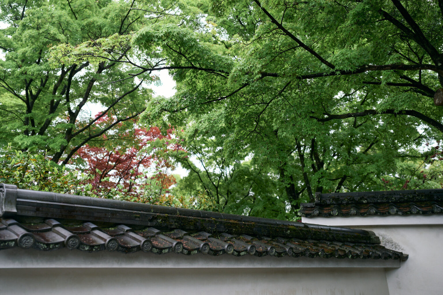arashiyama-kyoto-japan-family-photoshoot02